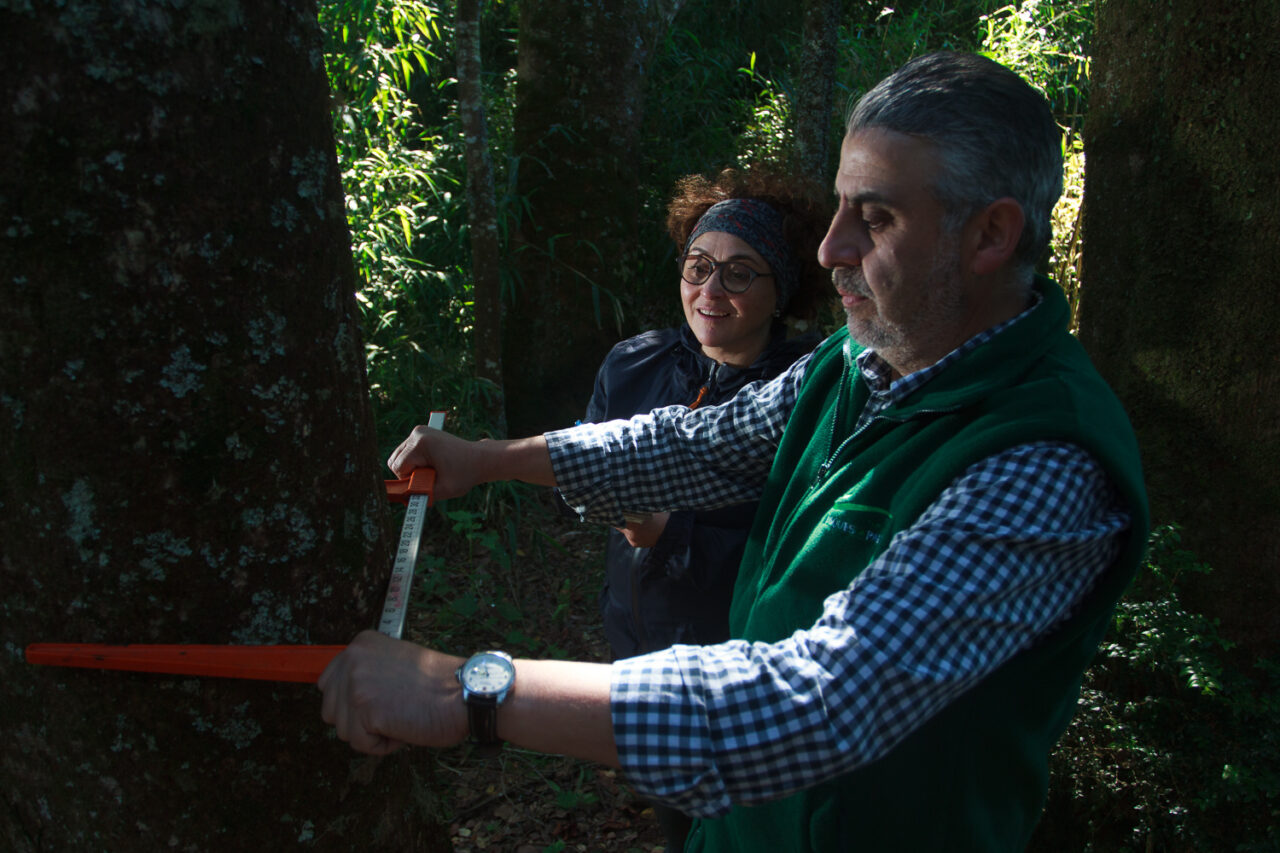 Proyecto Determinación Huella de Carbono Universidad de Los Lagos