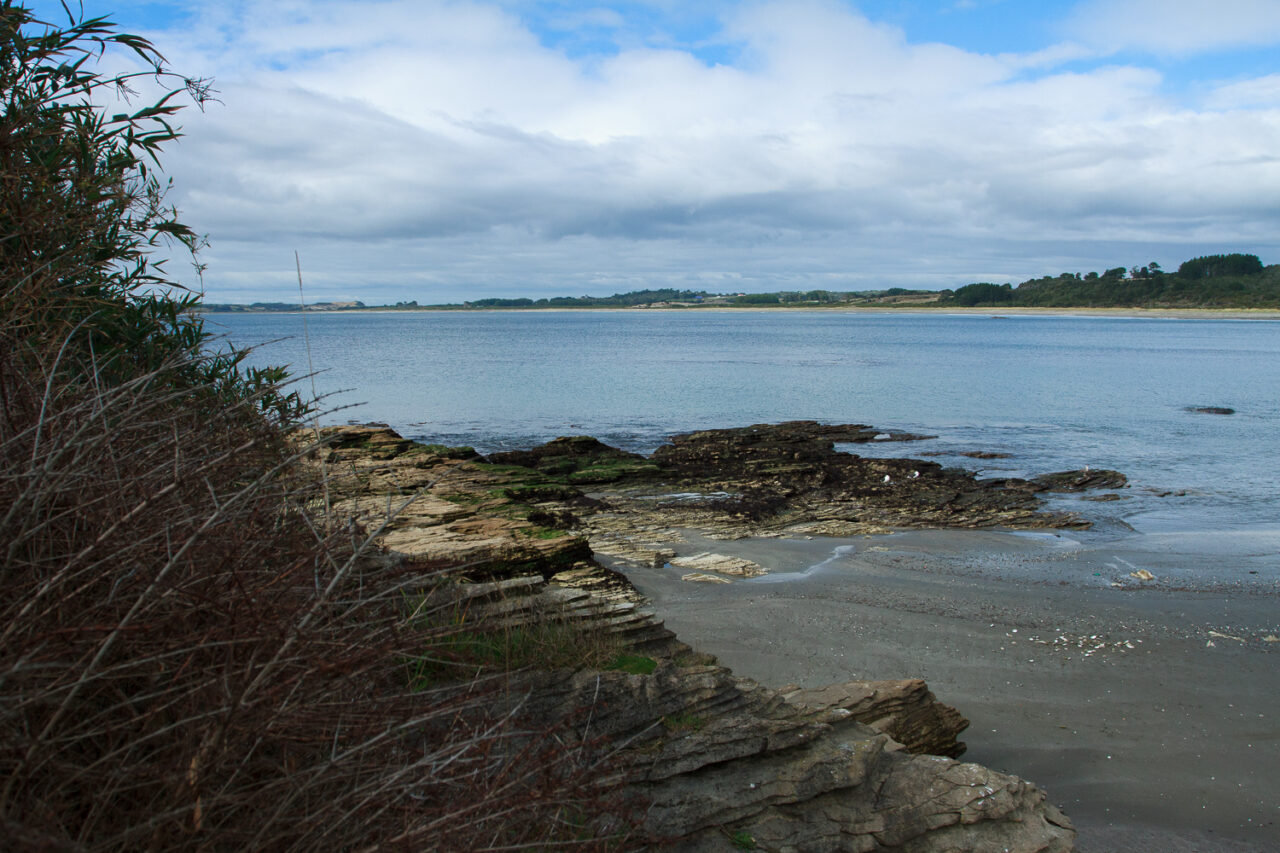 AS_230416_1786