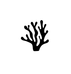 https://www.cerohuella.cl/wp-content/uploads/2023/05/cero-huella-algas-blanco.png