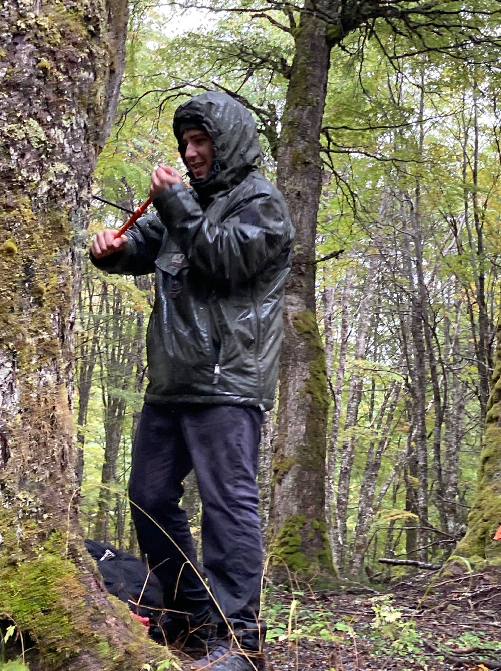 roberto-bosques