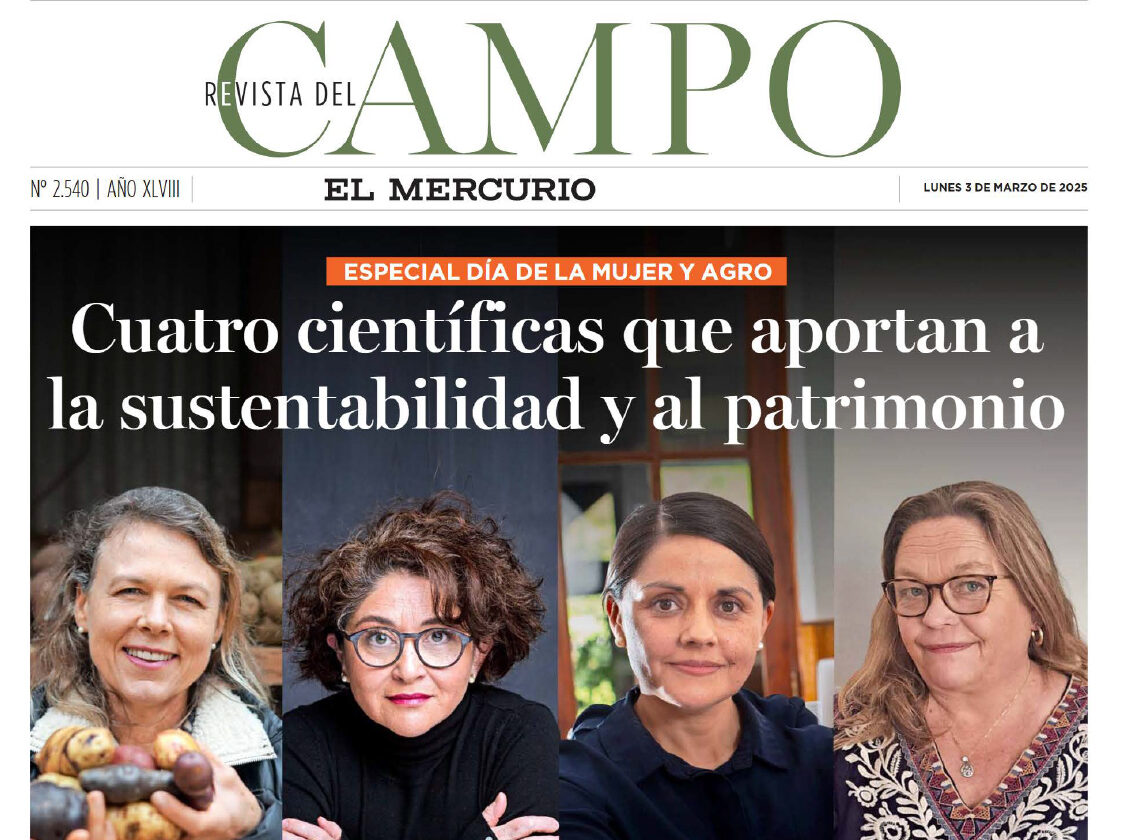 Especial Día de la Mujer