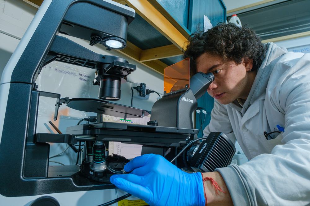 Laboratorio de carbono y cambio climatico ULagos