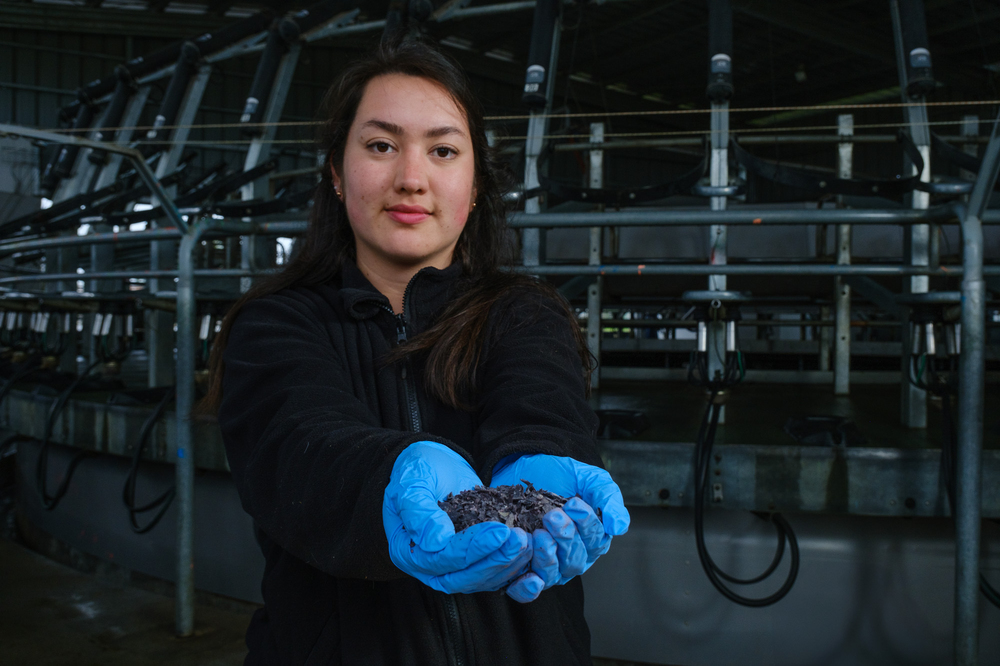 Proyecto Cero Huella