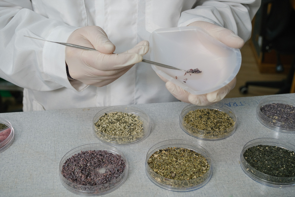 Proyecto Cero Huella