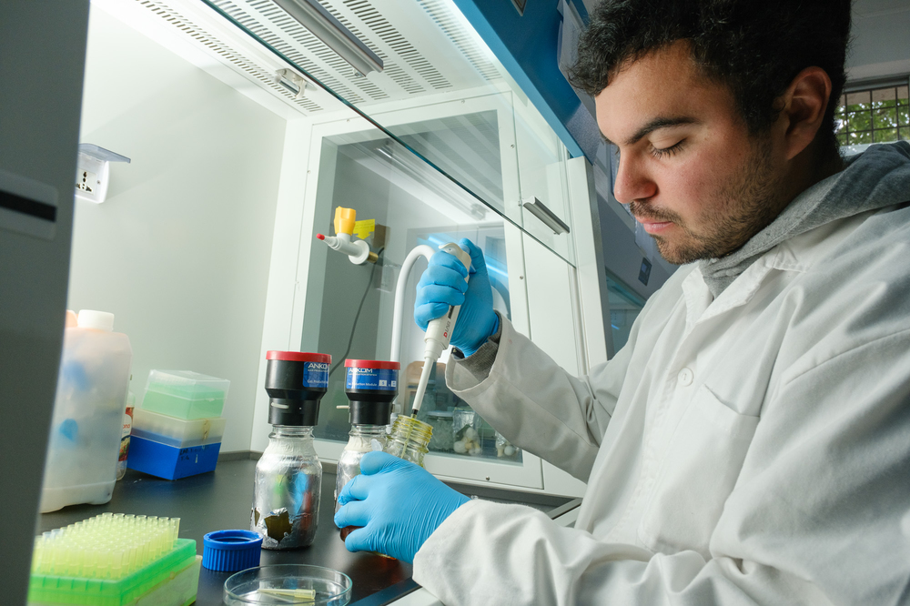 Proyecto Cero Huella